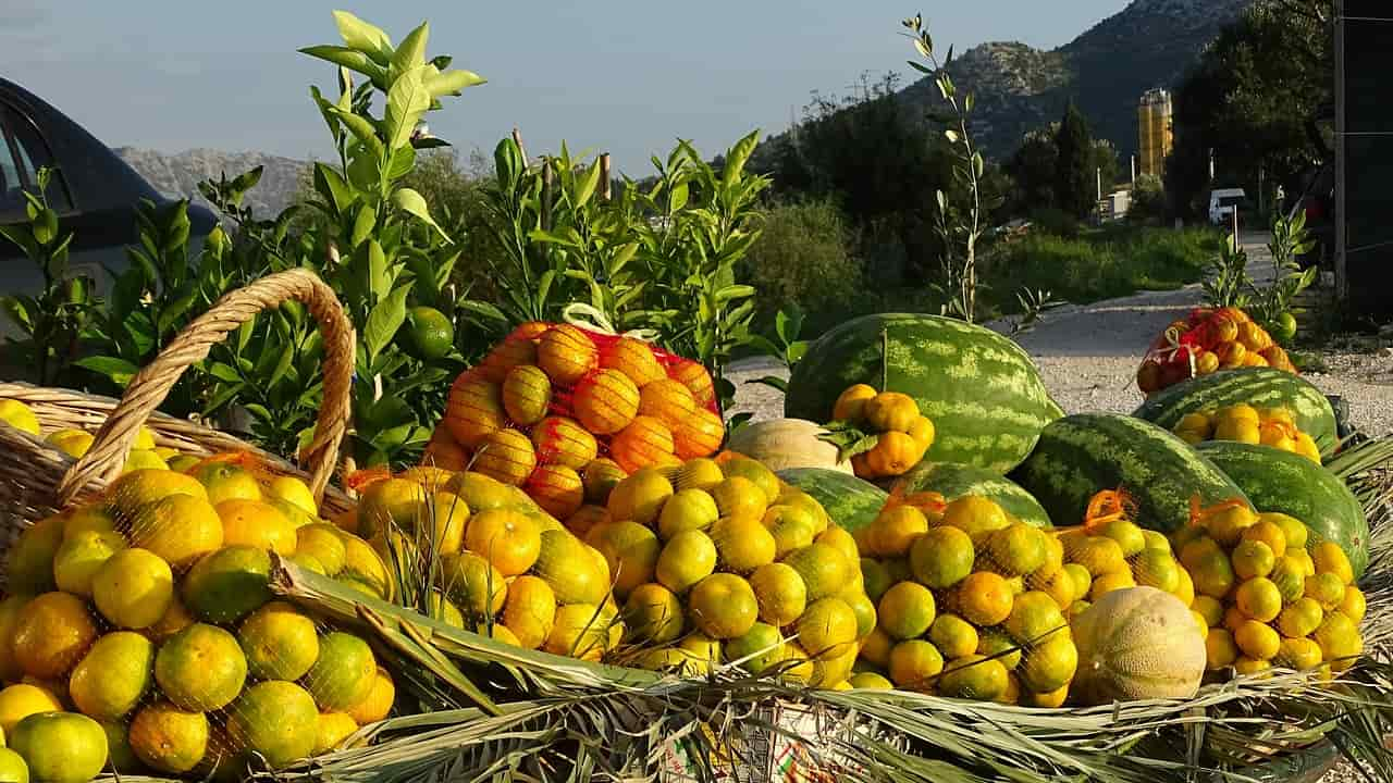 El PE tumba la importación de alimentos con residuos de pesticidas prohibidos en la UE / Foto: PB