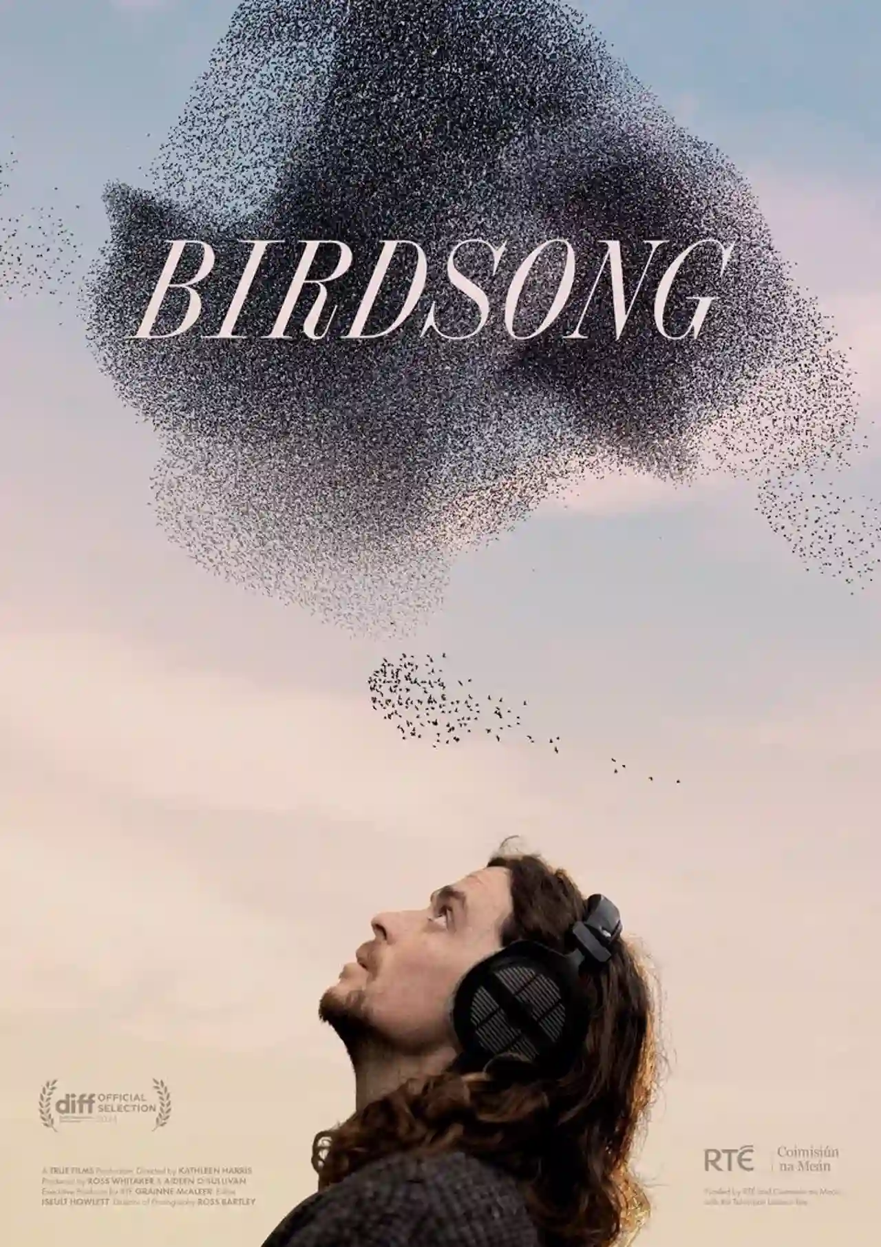 SEO/BirdLife celebra el Ciclo de Cine Documental 'Pajareros' / Imagen: True Films