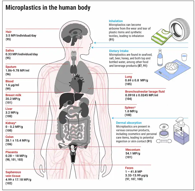 microplasticos