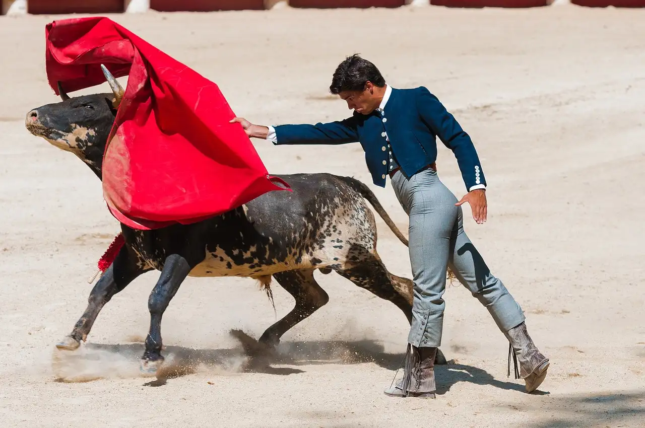 Zinemaldia - "El sufrimiento animal no puede ser legitimado como arte": PACMA / Foto: PB