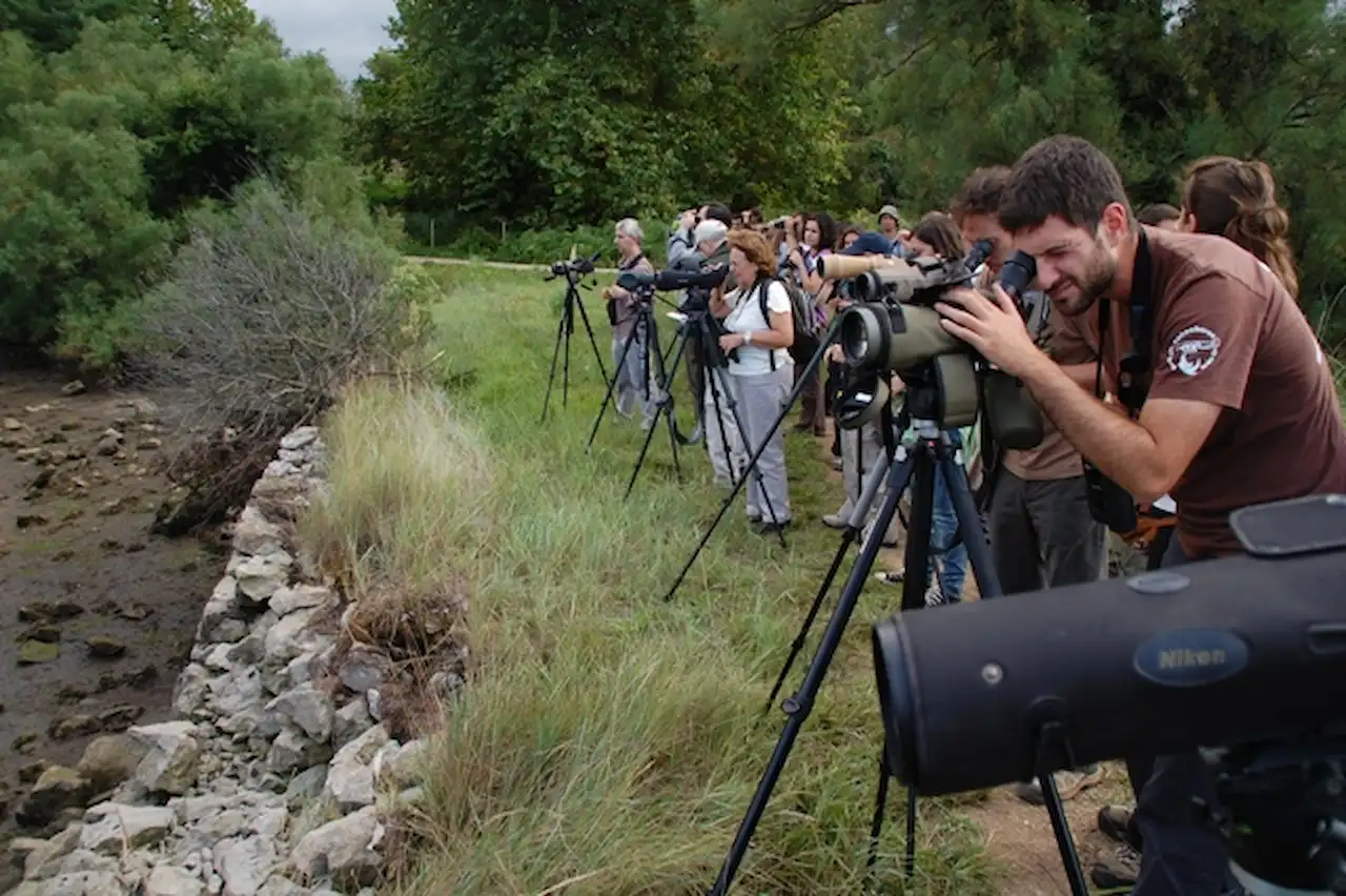 Observadores de aves en la naturaleza / Foto: SEO/BirdLife