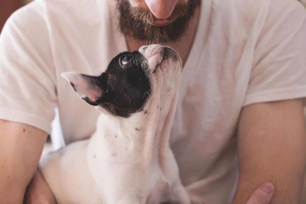 Las interacciones vocales entre perros y humanos / Foto: PB