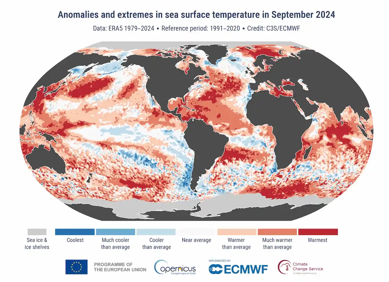 Anomalías y valores extremos de la temperatura superficial del mar en septiembre de 2024 / Imagen: Copernicus