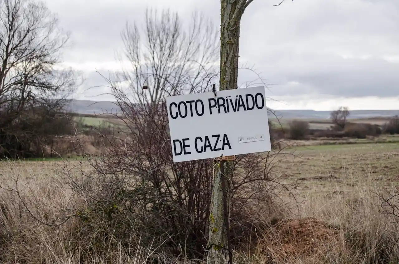 Proponen suspender la caza los domingos, festivos y vacaciones de Navidad / Foto: EP