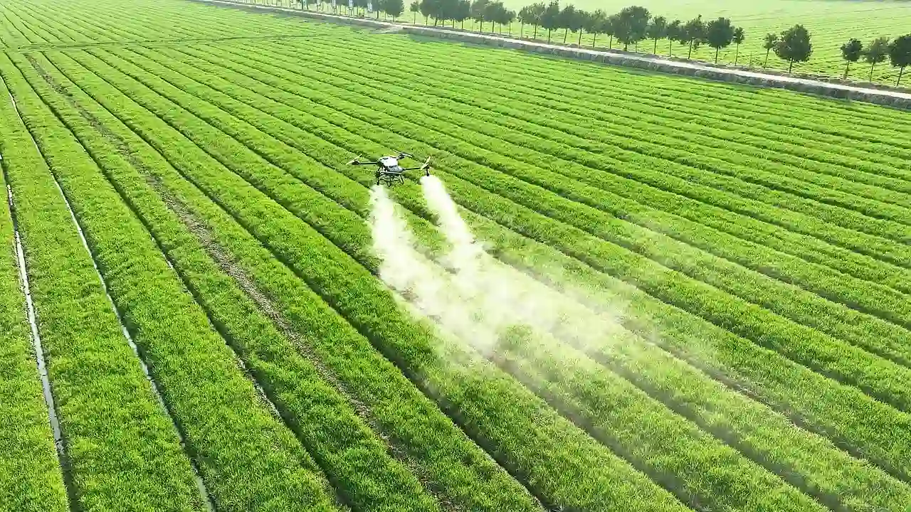 El uso masivo de pesticidas sintéticos tiene un efecto devastador en la biodiversidad / Foto: PB