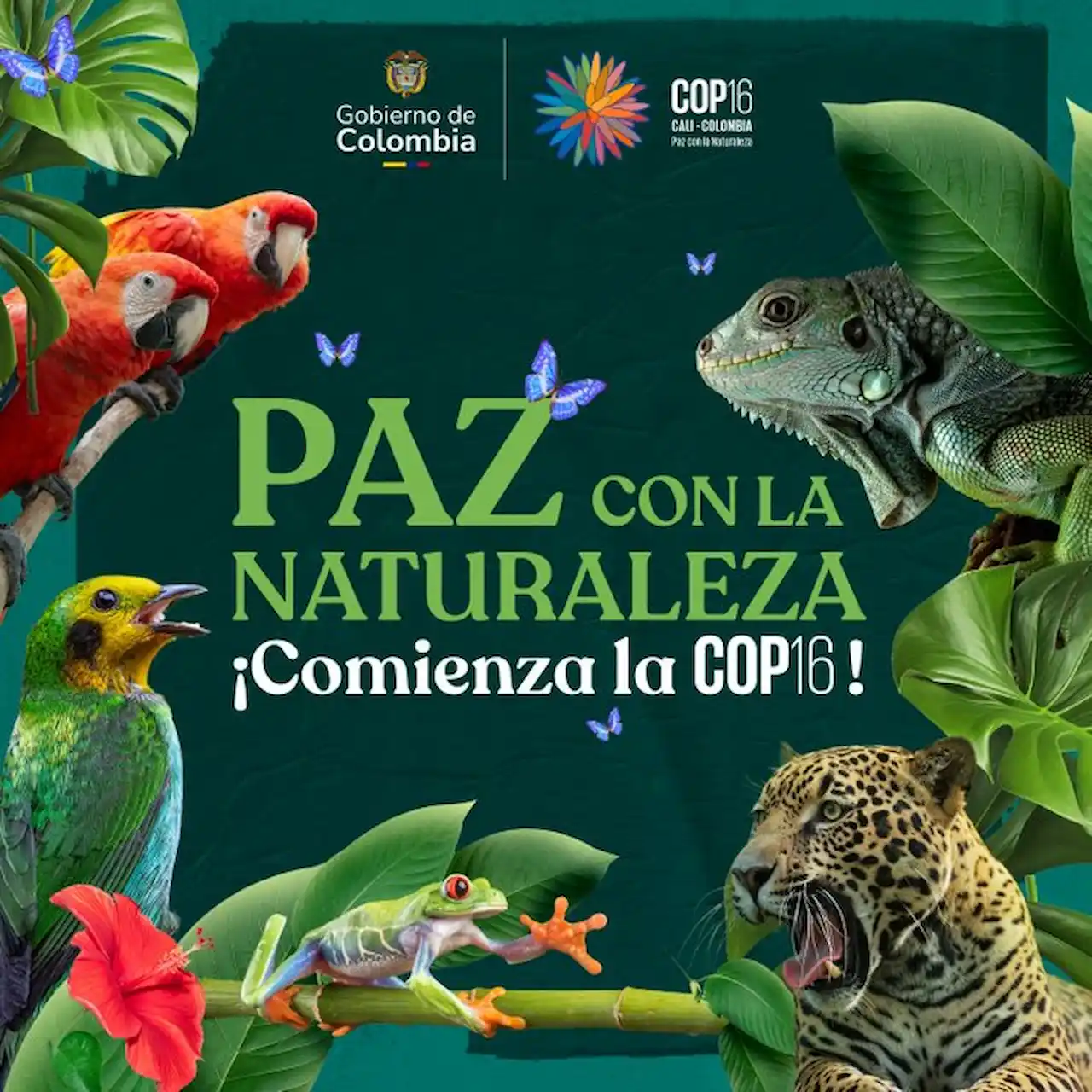 COP 16: ¡Paz con la Naturaleza! Biodiversidad / Imagen: COP 16