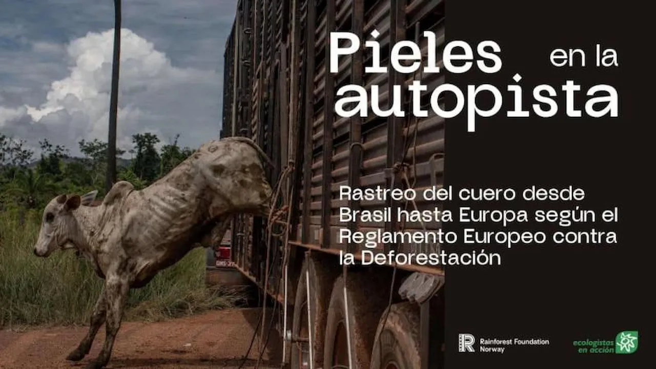 'Pieles en la autopista' Cuero procedente de la deforestación de bosques tropicales / Foto: Ecologistas en Acción