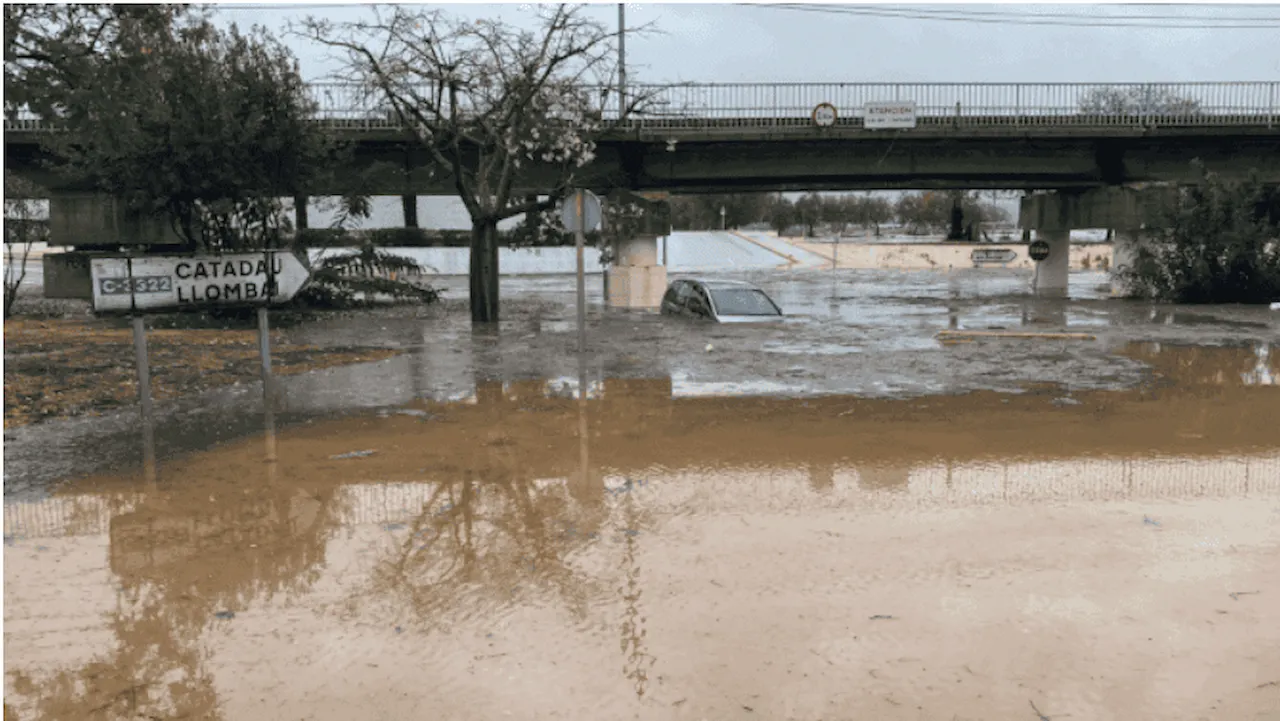 Moratoria en la planificación de las zonas inundables de Catalunya / Foto: Ecologistes en Acció