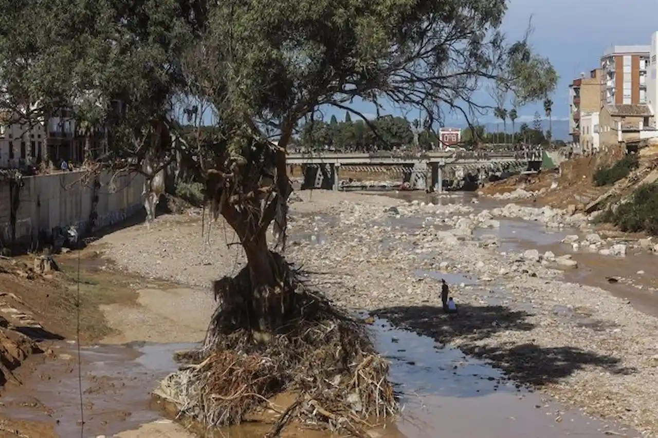 Geólogos y geólogas catalanas advierten del "urbanismo desaforado". Estragos ocasionados por la DANA, en 2024 en Paiporta, València / Foto: EP