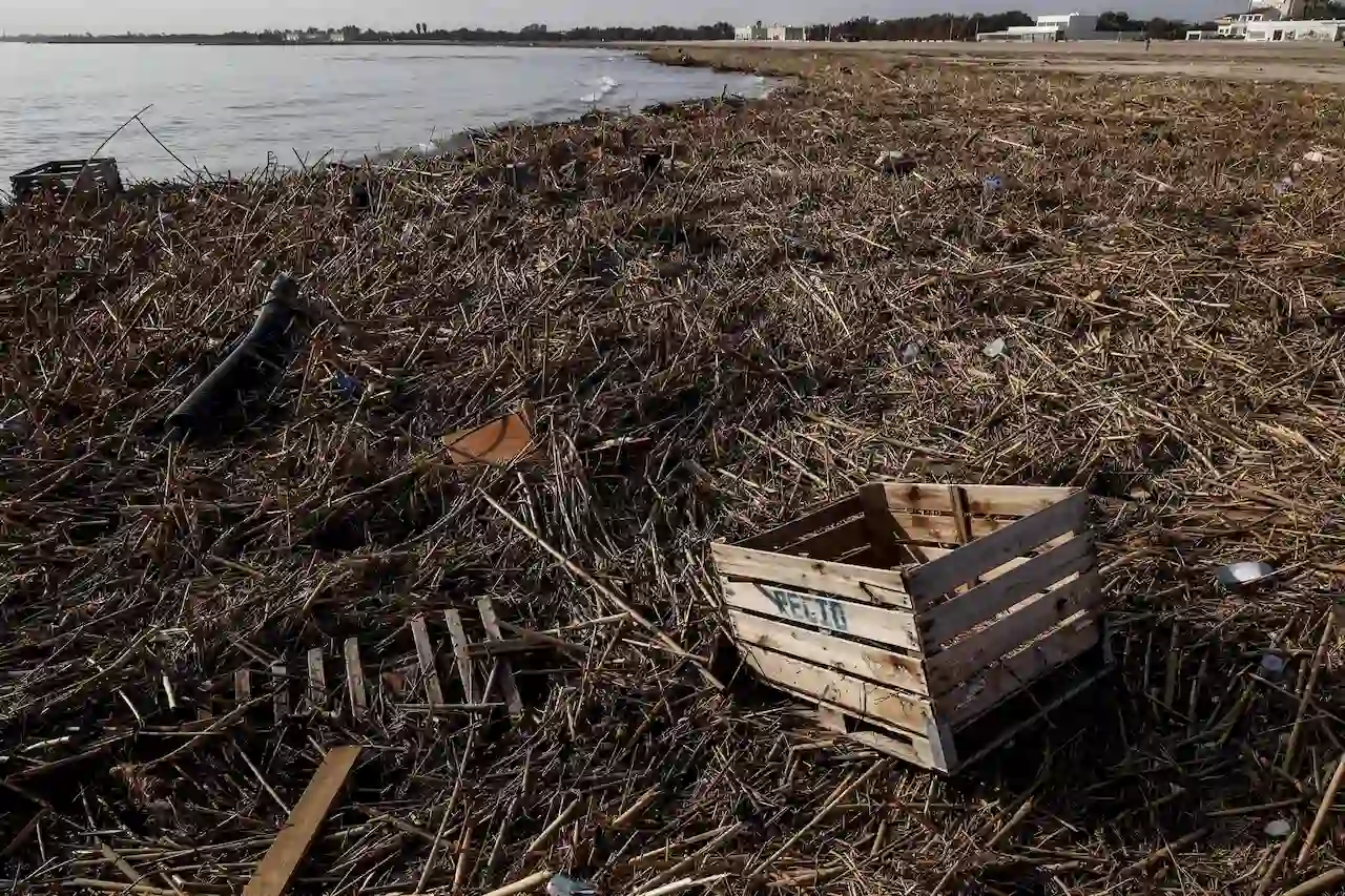 Ramas y residuos arrastrados por la DANA en la playa de Pinedo, a 5 de noviembre de 2024, en València  / Foto: EP