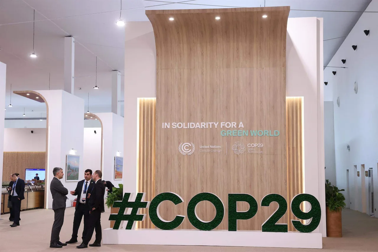 "Preocupante" falta de progreso en la COP29 / Foto: Dario Pignatelli