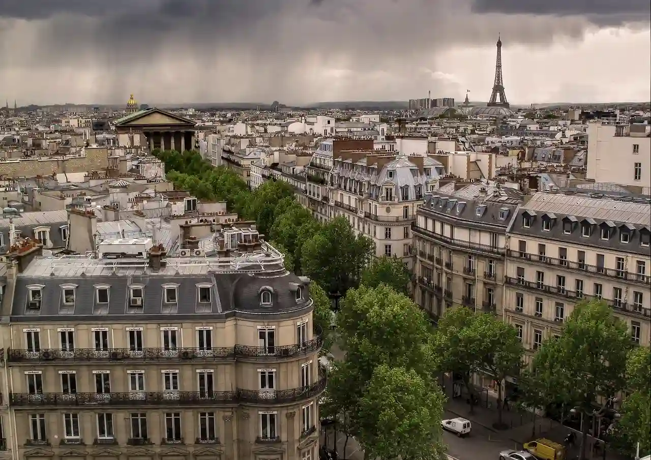 Los árboles en las ciudades. París / Foto: PB