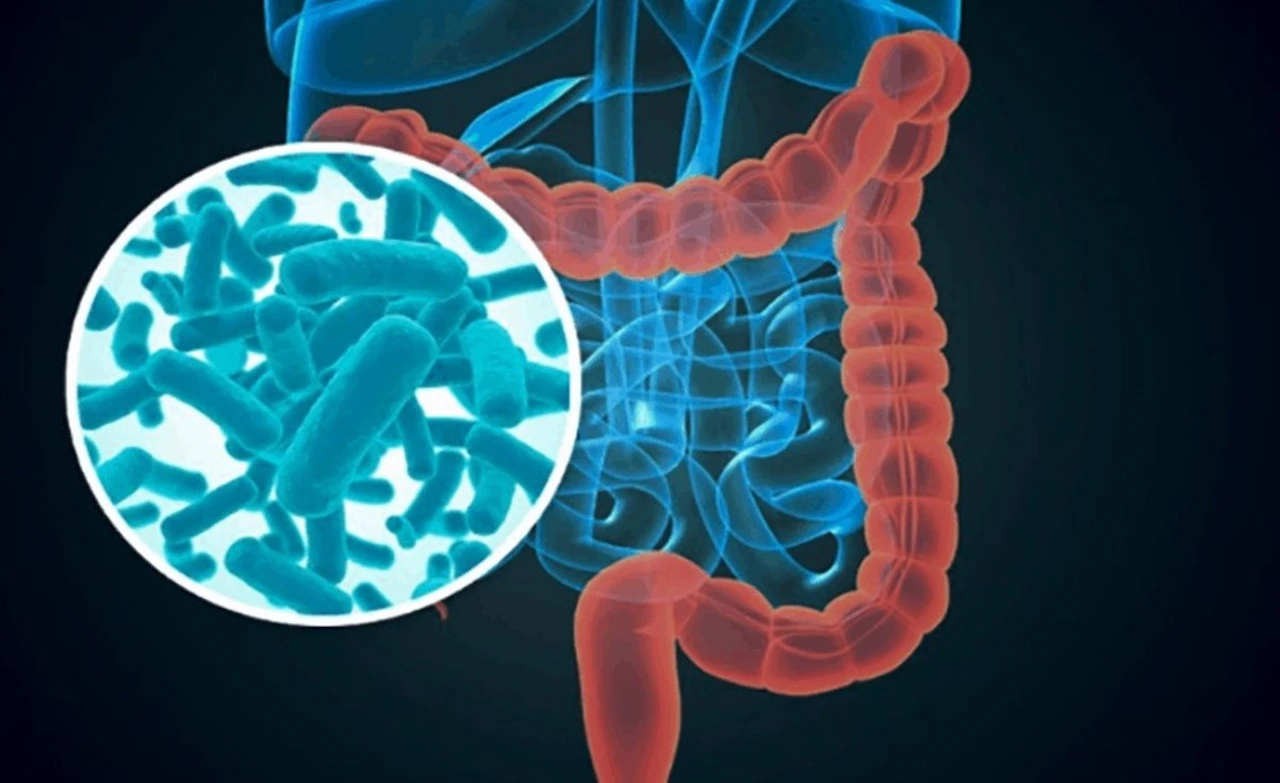 La microbiota intestinal puede influir nuestro estado de ánimo / Imagen: EP