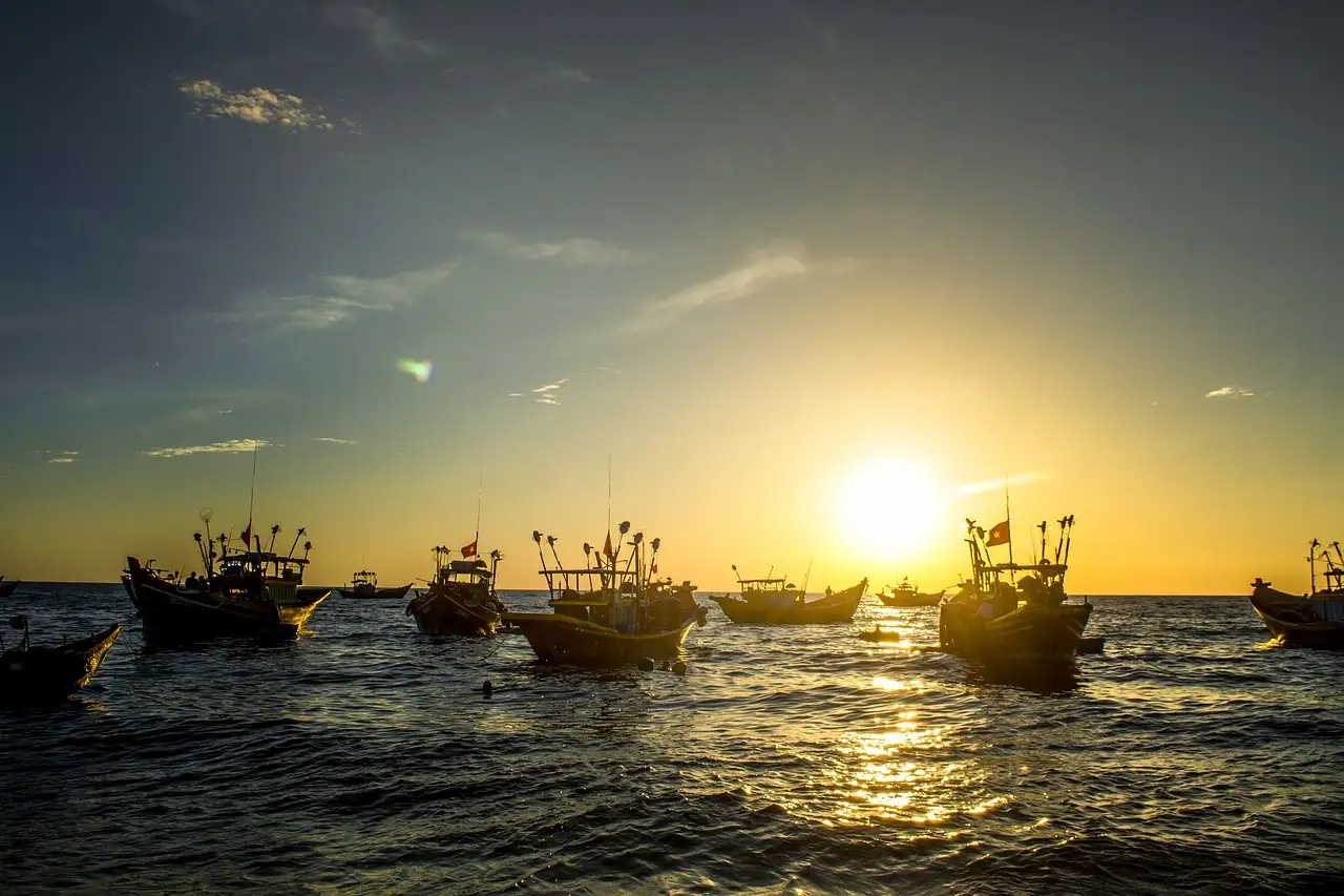 El cambio climático empuja las especies marinas hacia las zonas más frías / Foto: PB