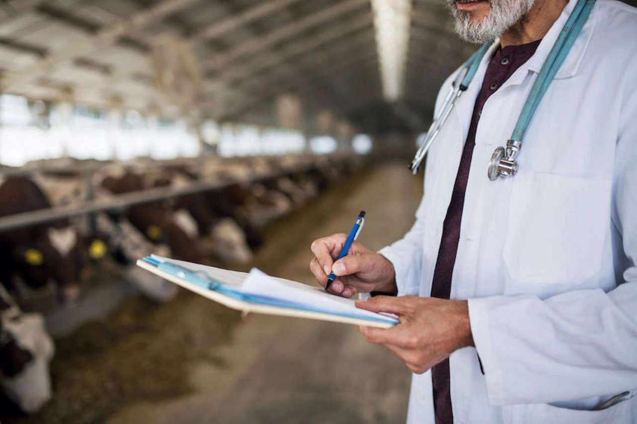 El 60% de las enfermedades infecciosas en humanos son de origen animal / Foto: OCV