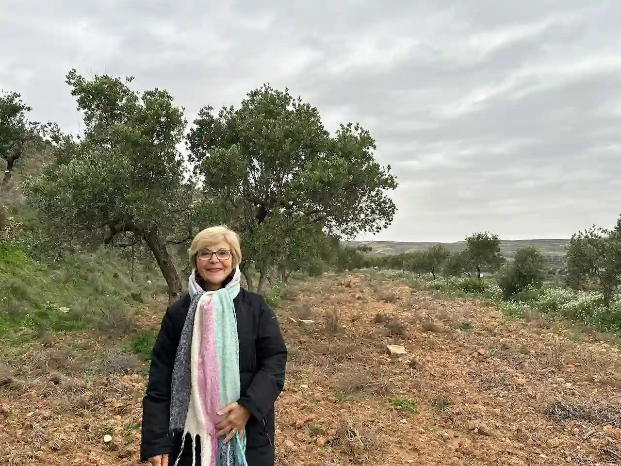 'El Olivar De Pilar'. Pilar ha donado su olivar a Apadrinaunolivo.org / Foto: EP