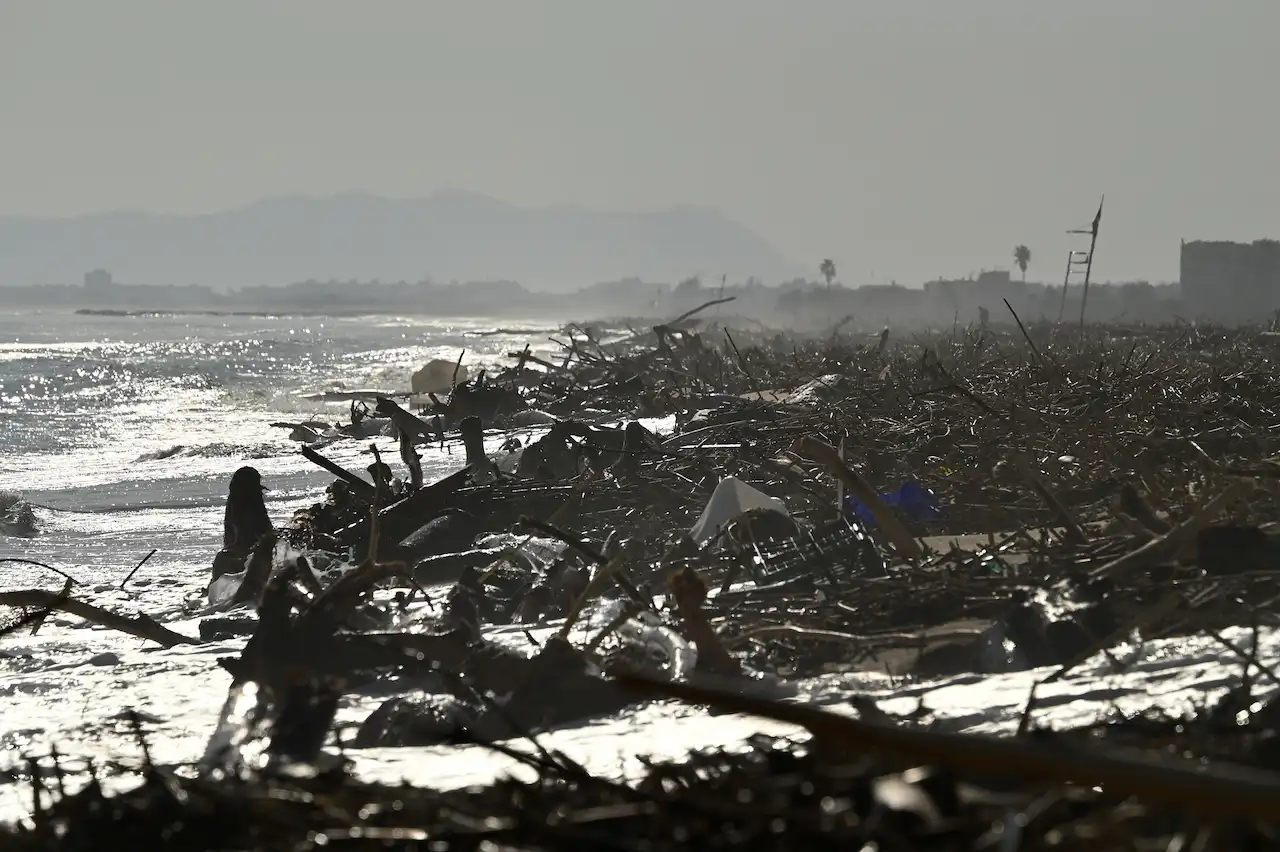 Una imagen dantesca muestra los restos arrastrados por el agua hasta las playas de El Saler, al sur de València. Cerca de 100 kilómetros de playas del litoral valenciano han resultado afectados / Foto: Alfons Rodríguez