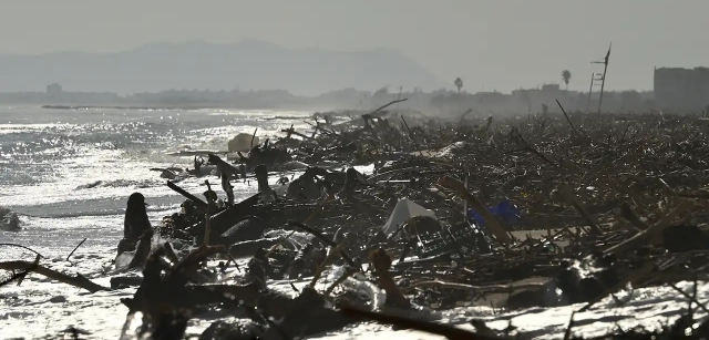 Una imagen dantesca muestra los restos arrastrados por el agua hasta las playas de El Saler, al sur de València. Cerca de 100 kilómetros de playas del litoral valenciano han resultado afectados / Foto: Alfons Rodríguez