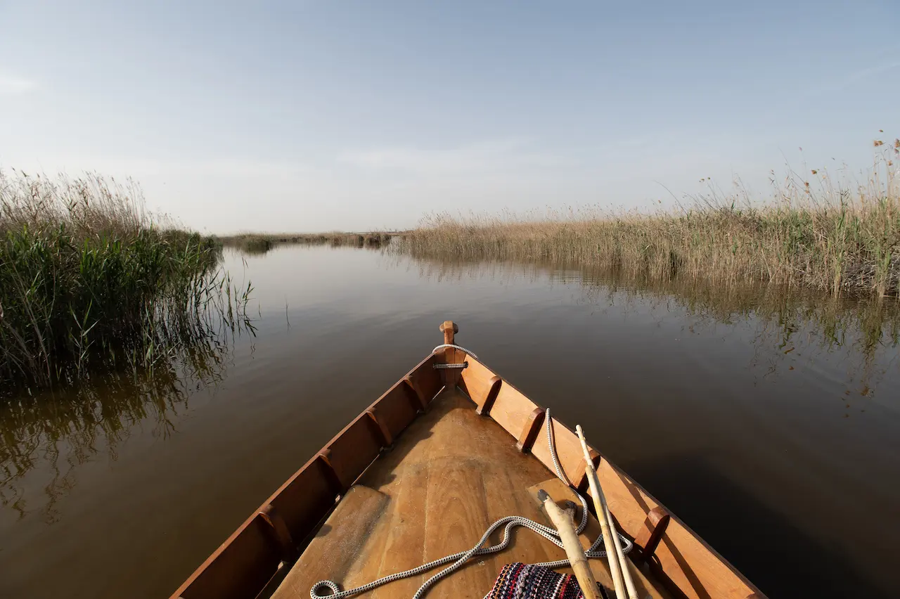 L’Albufera, declarada Parque Natural en 1986 y reconocida en 1989 como Humedal de Importancia Internacional, en una imagen tomada antes de la riada del 29 de octubre / Foto: Alfons Rodríguez