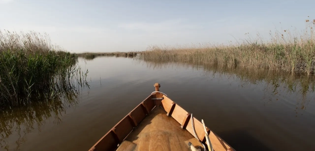 L’Albufera, declarada Parque Natural en 1986 y reconocida en 1989 como Humedal de Importancia Internacional, en una imagen tomada antes de la riada del 29 de octubre / Foto: Alfons Rodríguez