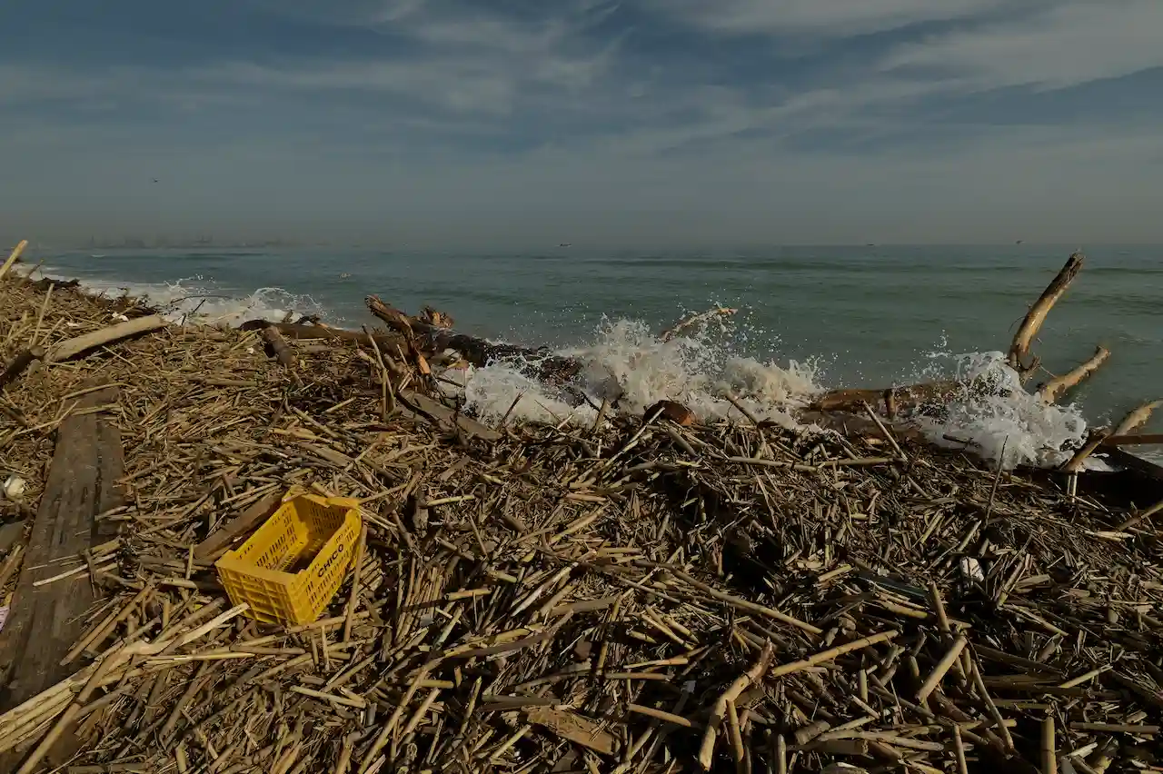 Restos de plásticos y cañas arrastrados por el agua hasta las playas del sur de València que harán que el desastre ecológico sea difícil de cuantificar y largo en cuanto a tiempo de recuperación / Foto: Alfons Rodríguez