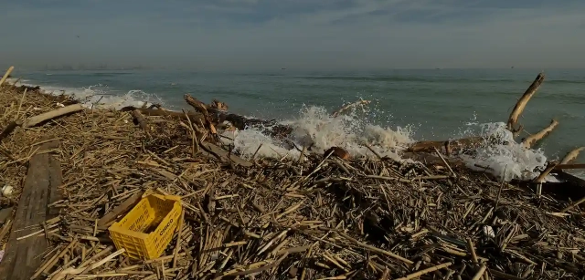 Restos de plásticos y cañas arrastrados por el agua hasta las playas del sur de València que harán que el desastre ecológico sea difícil de cuantificar y largo en cuanto a tiempo de recuperación / Foto: Alfons Rodríguez