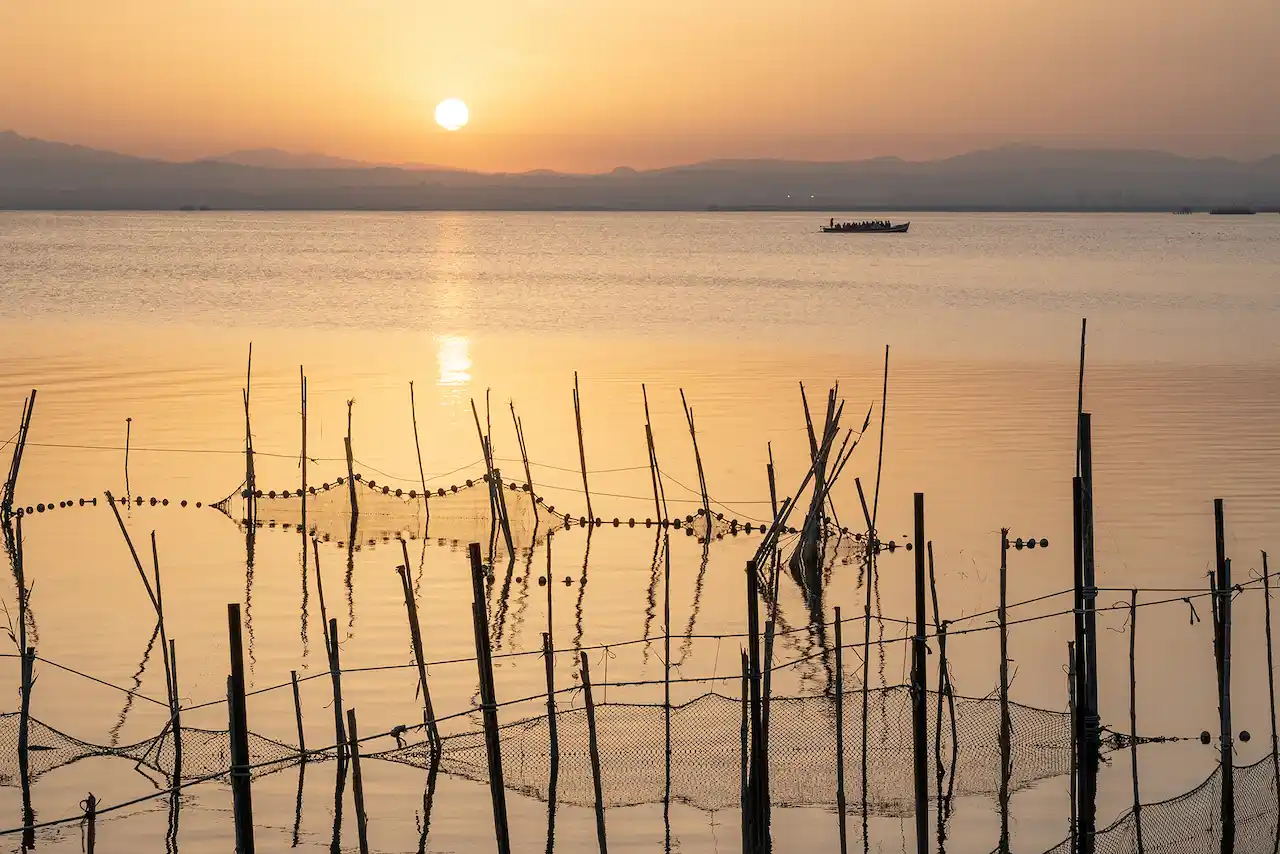 Atardecer en L’Albufera de València, refugio de numerosas especies de animales y plantas, captado en una imagen previa a la DANA / Foto: Alfons Rodríguez