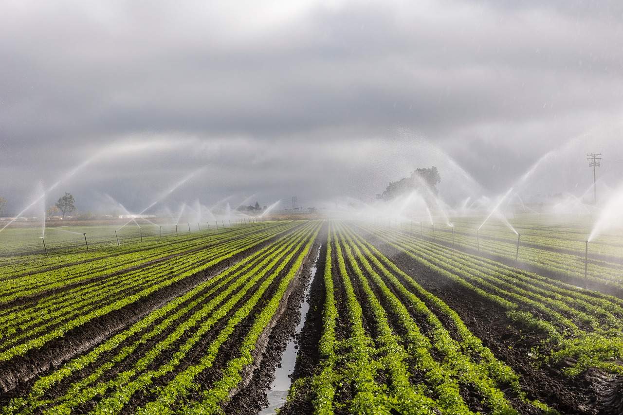 Cambios del ciclo global del agua son impulsados por actividades como la agricultura / Foto: PB