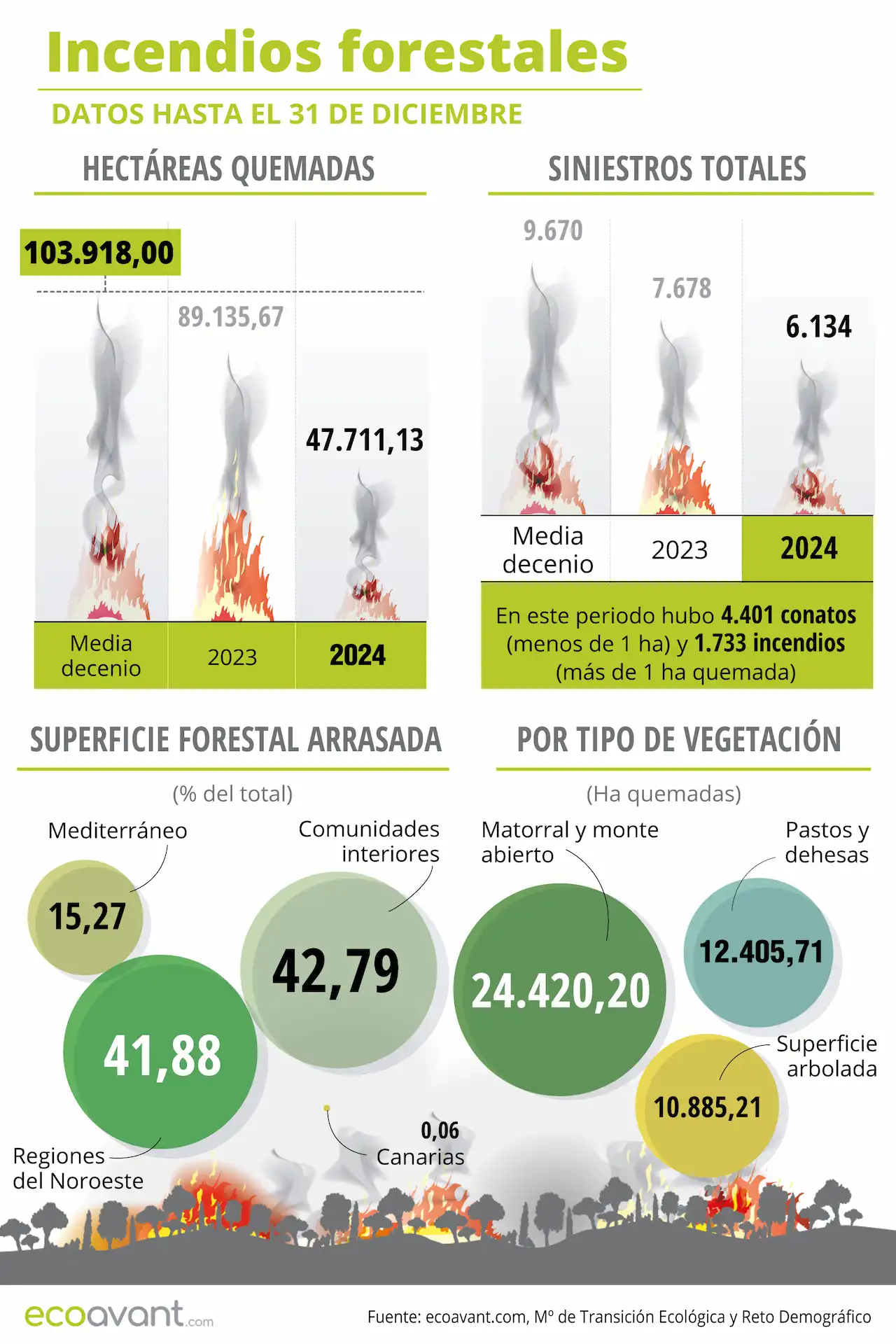 Incendios forestales en España en datos hasta el 31 de diciembre de 2024 / Foto: EA