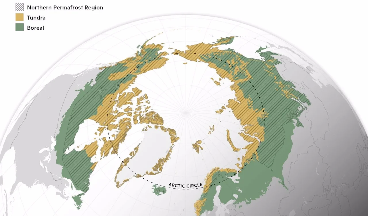 Ártico-boreal: los bosques boreales, la tundra y la región de permafrost son fuentes emisoras de carbono / Imagen: Woodwell Climate Research Center