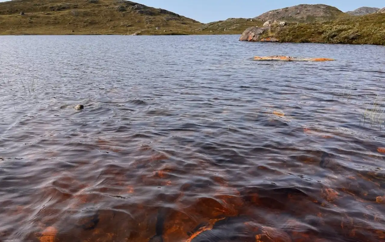 7.500 lagos en Groenlandia se vuelven marrones / Foto: Universidad de Maine