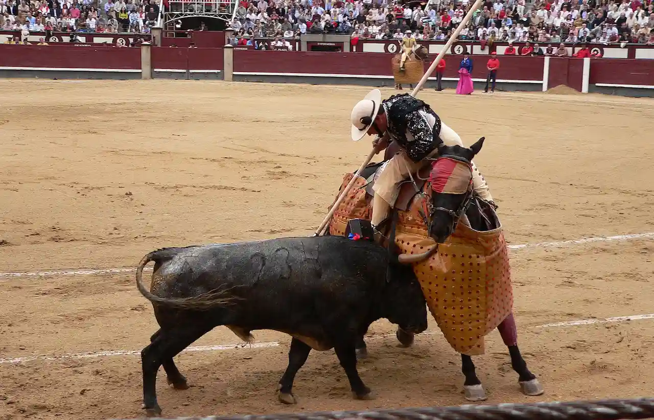 Una actividad que "interesa únicamente a una ultraminoría". Corrida de toros / Foto: Wikipedia