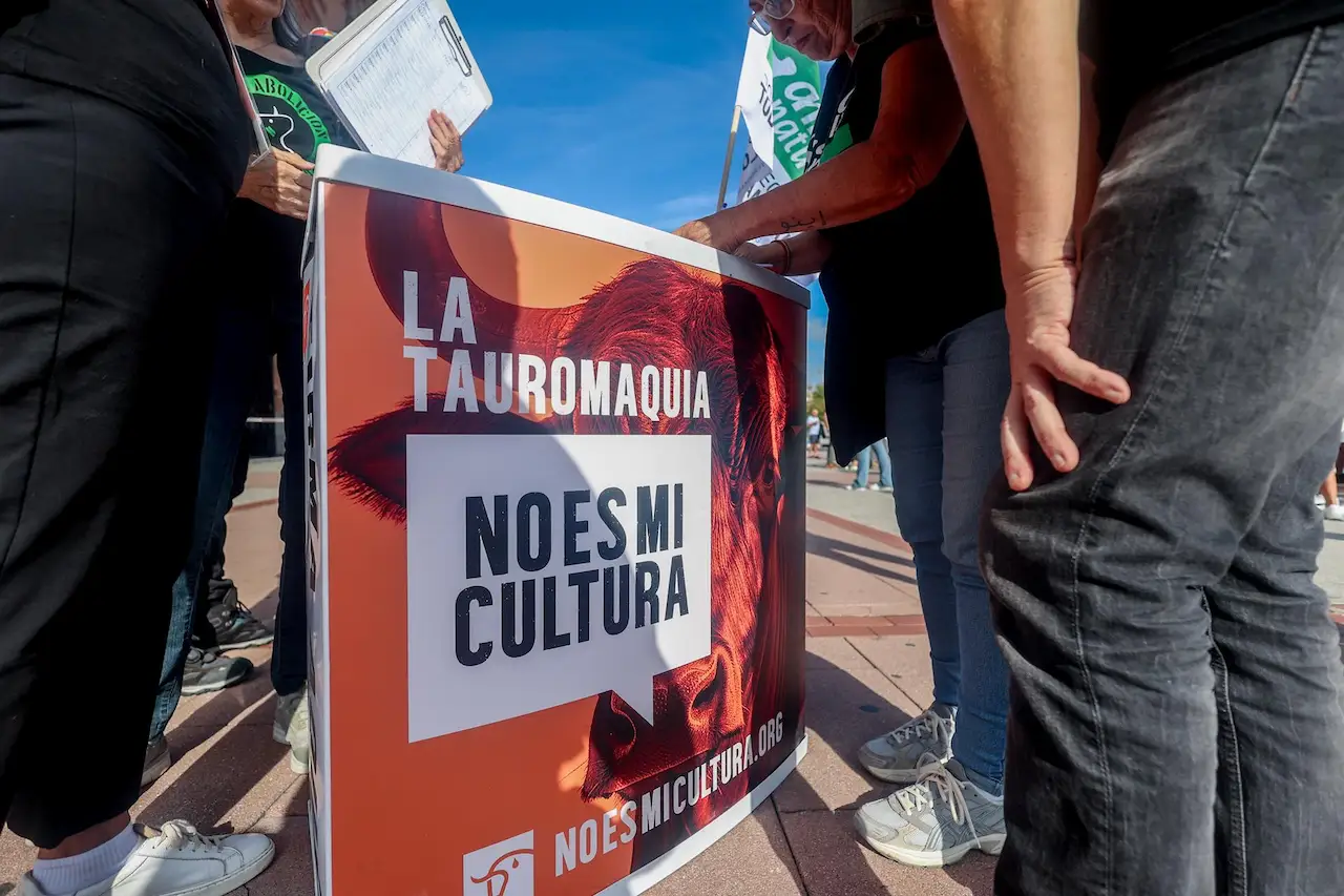 La campaña la tauromaquia 'No es mi Cultura' recoge más de 500.000 firmas / Foto: EP