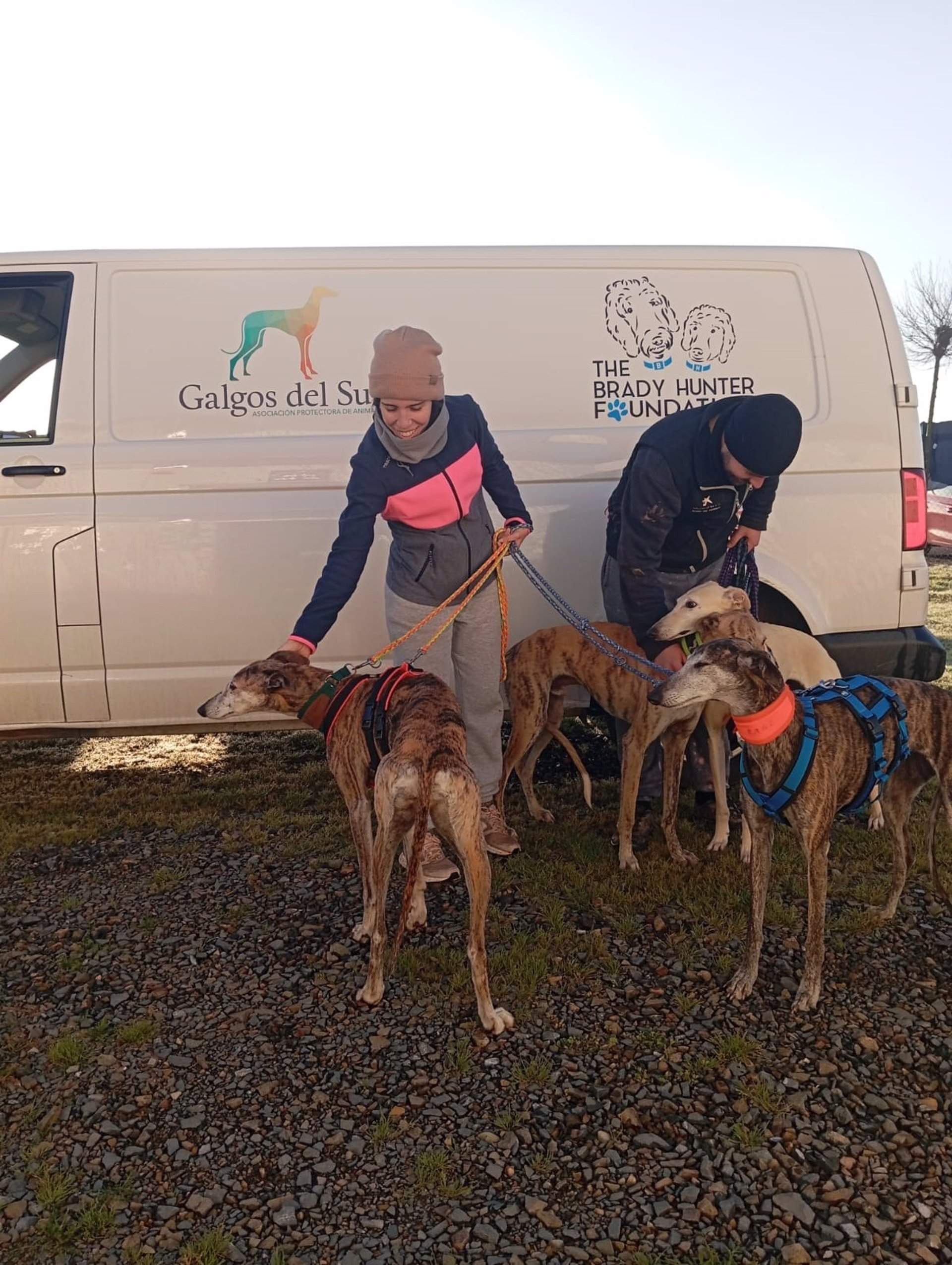 Rescate de galgos en Granada / Foto: Galgos del Sur