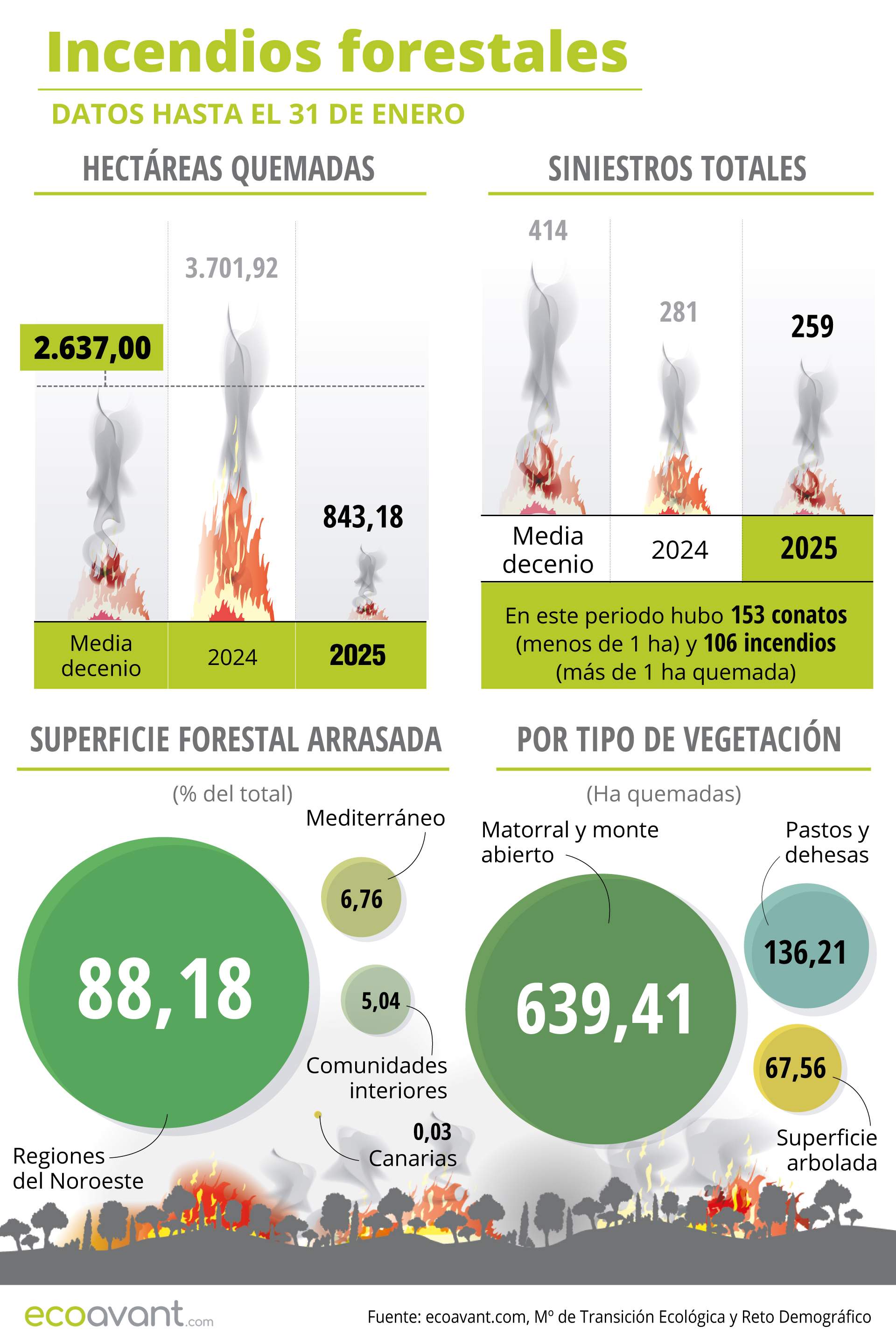 Incendios forestales en España en datos hasta el 31 de enero de 2025 / Infografía: EA