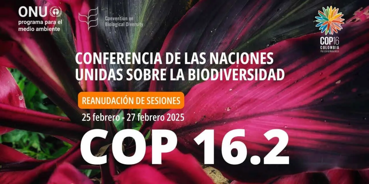 Cumbre Mundial de Biodiversidad en Roma, segunda parte / Imagen: COP16