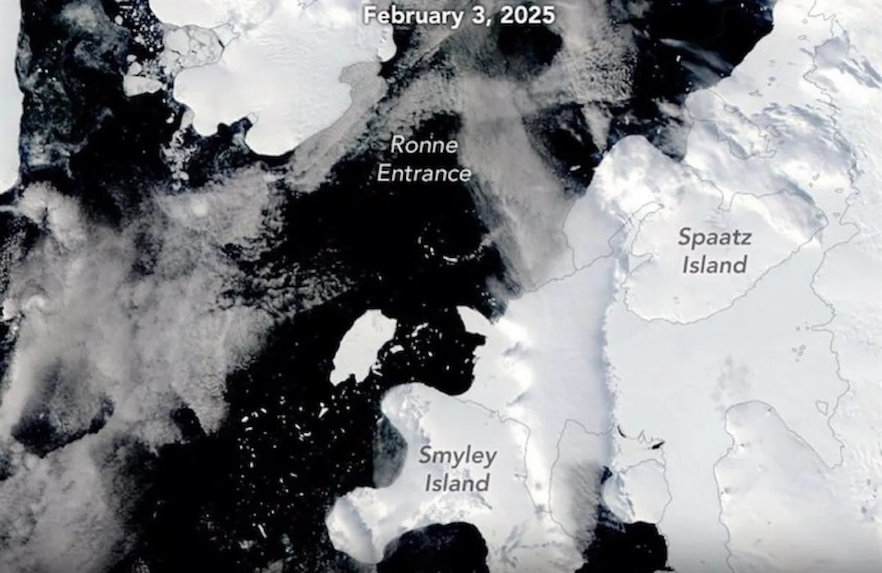 El gigante iceberg A-84 se desprende de la Antártida. Se ve el centro de la imagen / Foto: Nasa Earth Observatory/ Foto: Nasa Earth Observatory