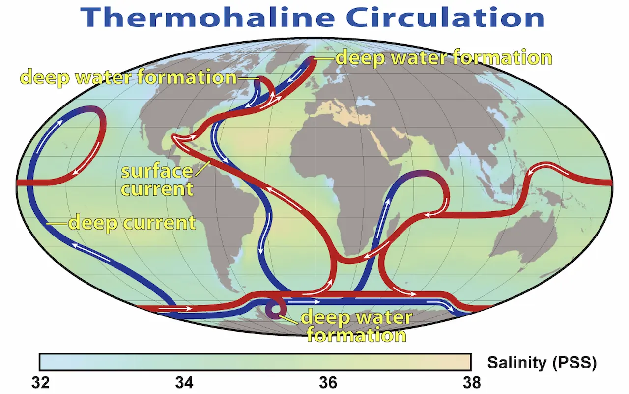 Circulación oceánica / Imagen: Wikimedia Commons