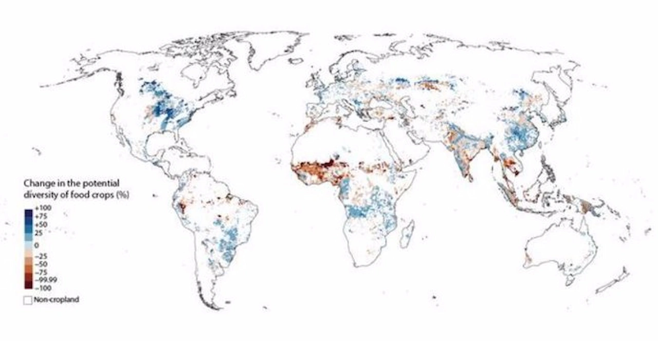 Cambios en la diversidad potencial de cultivos alimentarios / Imagen:  Matti Kummu et. al / Aalto University