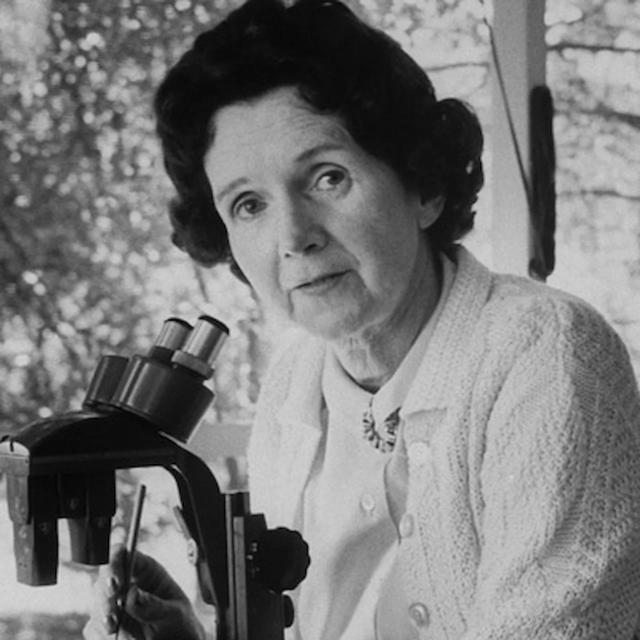 Rachel Carson / Imagen: Mujeres con Ciencia